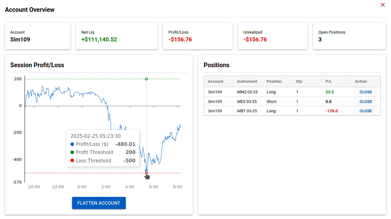 NT8 Account Overview showing real-time profit/loss graph