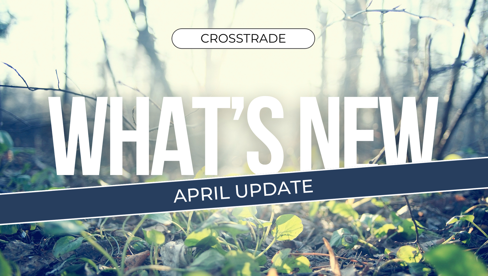 crosstrade-april-2025-update-spring-image